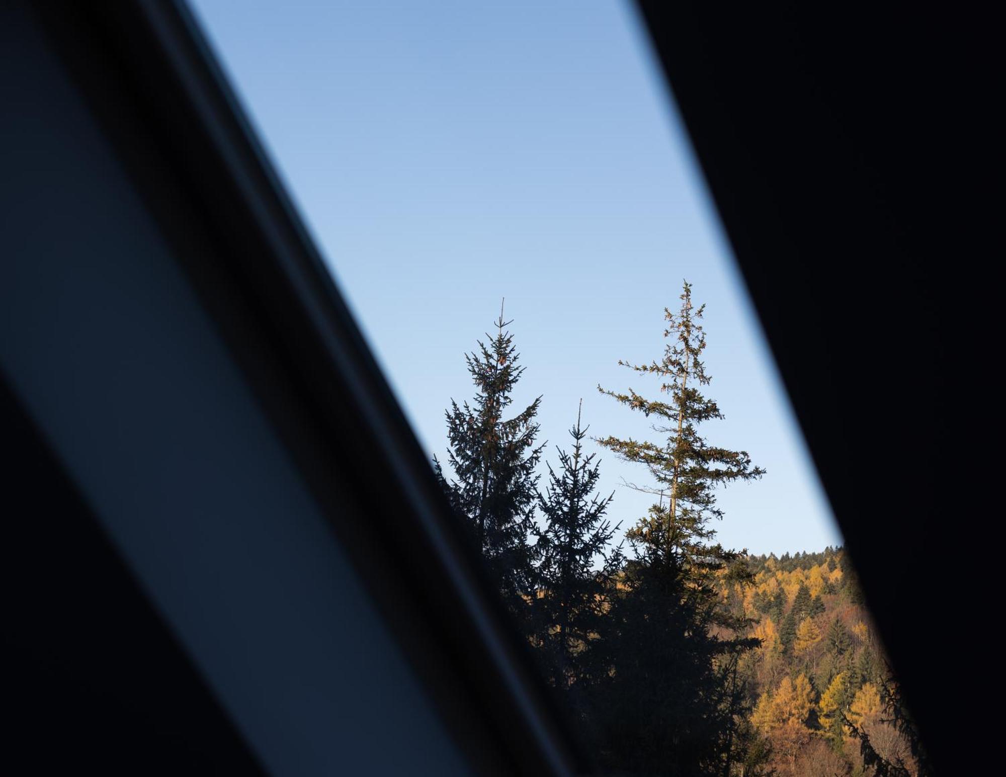 Impala Sinaia - Springbok Apartman Kültér fotó